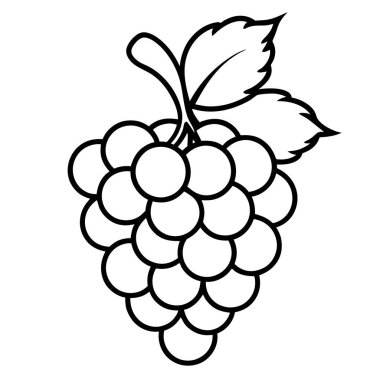 Bir demet üzümün izole edilmiş ana hatları