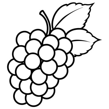 Blackberry vektör tasarımının izole meyvesi