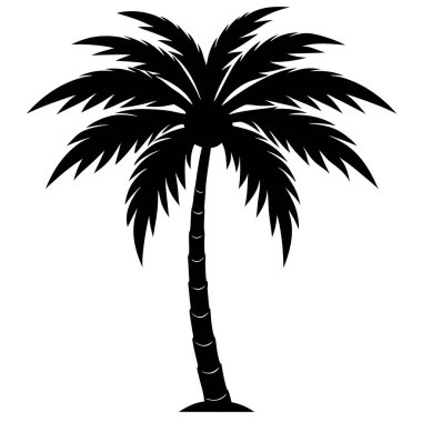 Beyaz arkaplanda izole edilmiş vektör palmiye ağacı