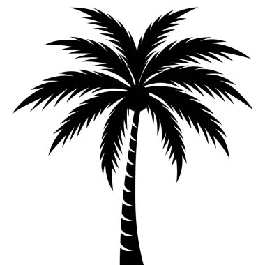 Palmiye siluetinin vektör çizimi.