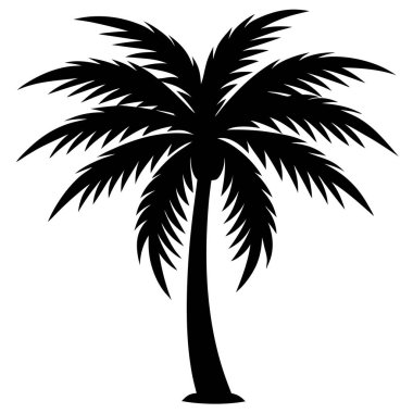 vektör palmiye ağacı silueti. tropik ağaç silueti.