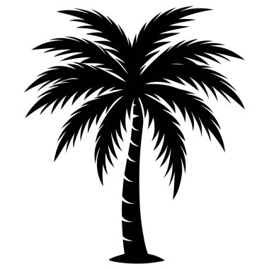 vektör siluet palmiye ağacı