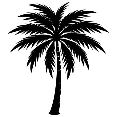 Palmiye ağacı silüeti. Vektör çizim.