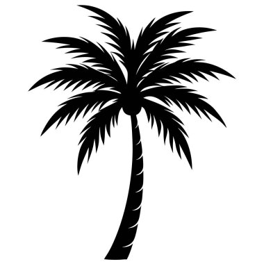 Tropikal ağaç vektör resimli siluet palmiye ağacı