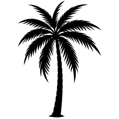 Bir palmiye ağacının vektör illüstrasyonu