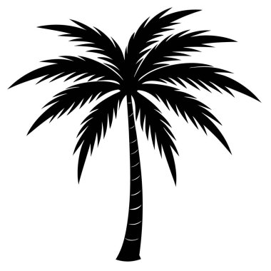 Palmiye ağaçlarının silueti