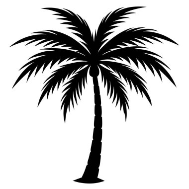 Palmiye yapraklı ağaç silueti