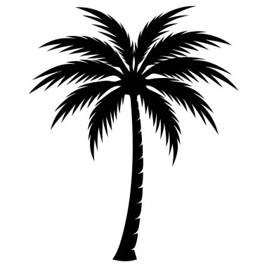 Palmiye ağacı silueti. siyah ve beyaz resimleme.