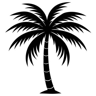 Beyaz arka planda siyah bir palmiye ağacının vektör çizimi