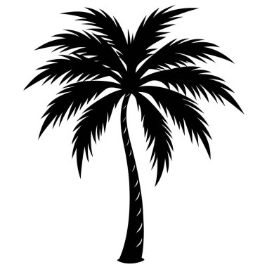 Beyaz arkaplanda palmiye ağacı silueti