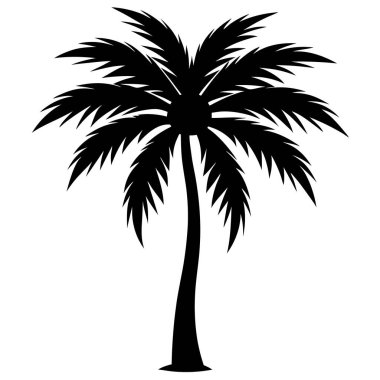 Palmiye ağacı vektör silueti. tropik ağaç silueti.