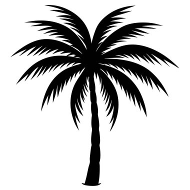 Beyaz arkaplanda palmiye ağacı silueti