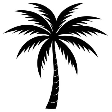 Beyaz arkaplanda palmiye ağacı silueti