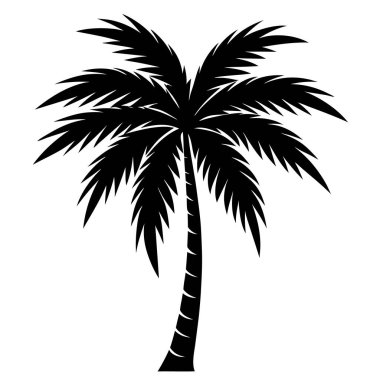 Yapraklı palmiye ağacının silueti. Vektör çizimi. Beyaz arka planda izole edilmiş. siyah ve beyaz.