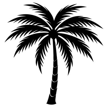 Beyaz arkaplanda izole edilmiş palmiye ağacı silueti