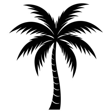 Palmiye ağacı illüstrasyonu, siyah ve beyaz