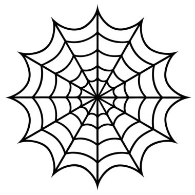 spider web, vector illustration