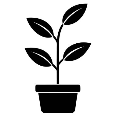 Saksıda bitki var. Basit tasarım