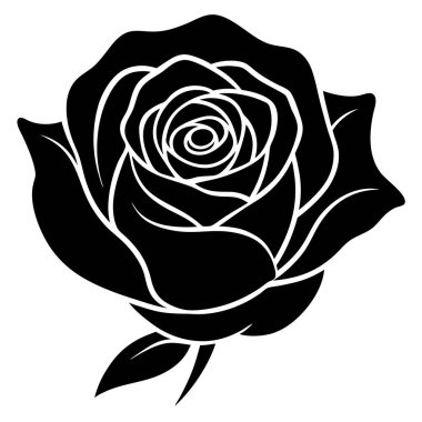 Siyah arkaplan ile siyah gül