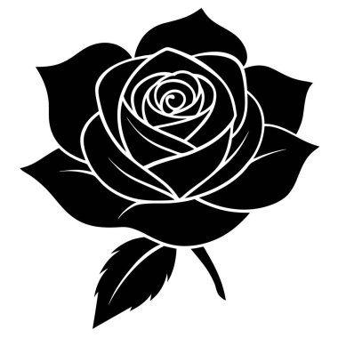 vektör gül illüstrasyonu