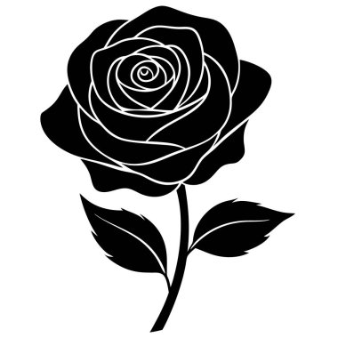 vektör gül illüstrasyonu