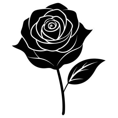 Beyaz yapraklı gül. vektör