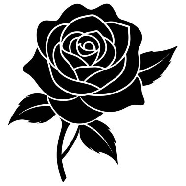 Siyah ve beyaz renkli gül. beyaz arkaplanda izole.