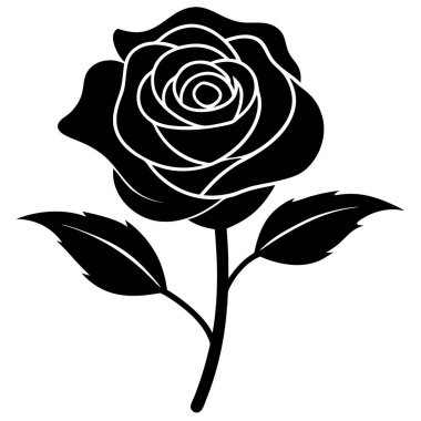 Gül çiçeği, illüstrasyon, beyaz arkaplanda vektör.