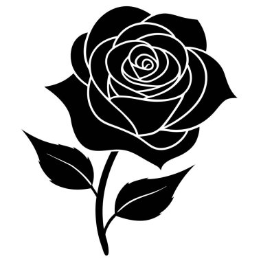 siyah gül çiçeği, vektör illüstrasyonu