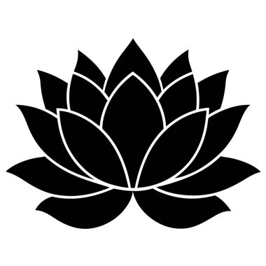 güzel nilüfer çiçeği, vektör illüstrasyonu