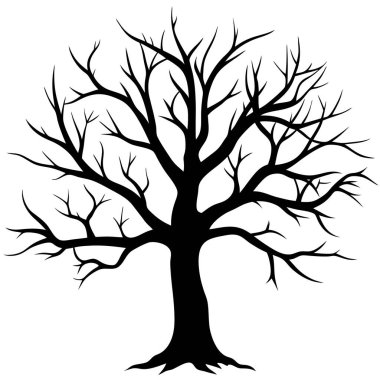 Beyaz üzerine çıplak ağaç silueti