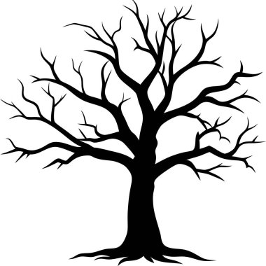 beyaz arkaplanda çıplak ağaç dalları