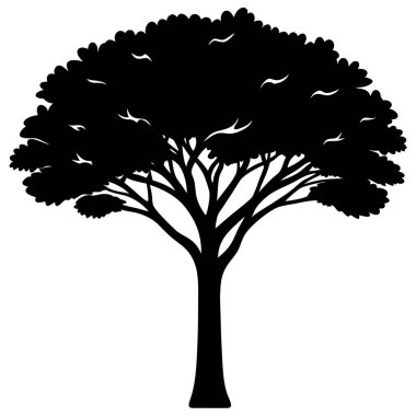 Beyaz arkaplanda ağaç silueti izole edildi