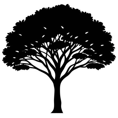 Beyaz arkaplanda siyah ağaç silueti