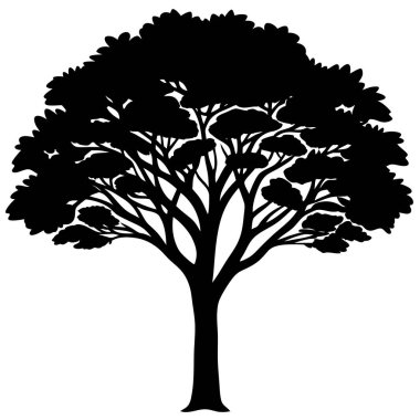 Beyaz arkaplanda yaprakları olan bir ağacın silueti.