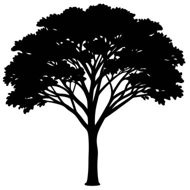 arkaplanda bir ağacın vektör silueti