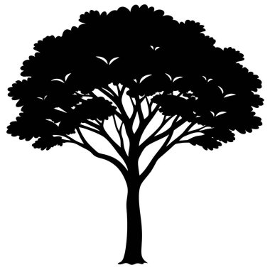 ağaç beyaz zemin üzerine siluet vektör.