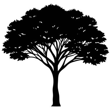 Bir ağacın silueti. izole resim