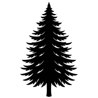 Beyaz arkaplanda çam ağacının silueti