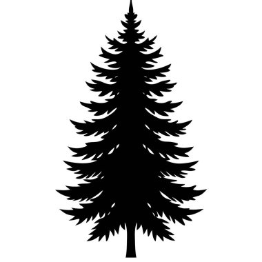 Çam ağacı silueti, beyaz arkaplanda izole