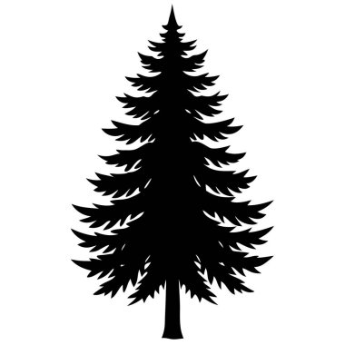 çam ağacı siluet beyaz arka plan üzerinde