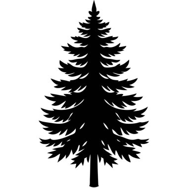 çam ağacı siluet beyaz arka plan üzerinde