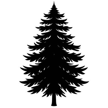 Beyaz üzerine köknar ağacı silueti