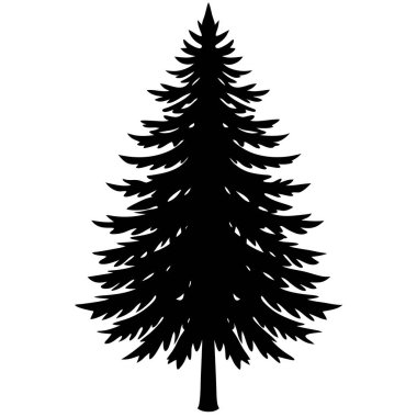 Köknar ağacı silueti, ağaç vektör sanatı