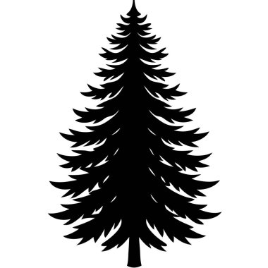 Köknar ağacı silueti, Ağaç vektör tasarımı