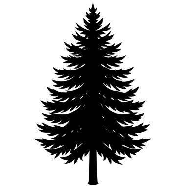 Siyah arkaplanı olan çam ağacının silueti