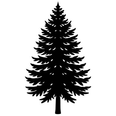 çam ağacı silüeti