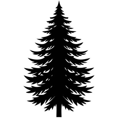 çam ağacı silueti, vektör çizimi