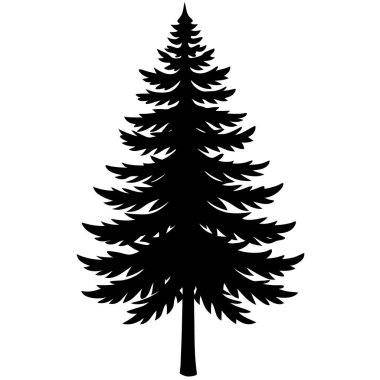 çam ağacı silueti, vektör çizimi