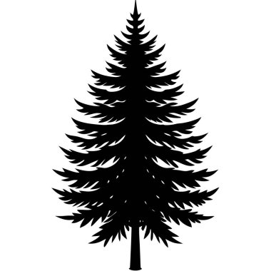 çam ağacı vektör silueti